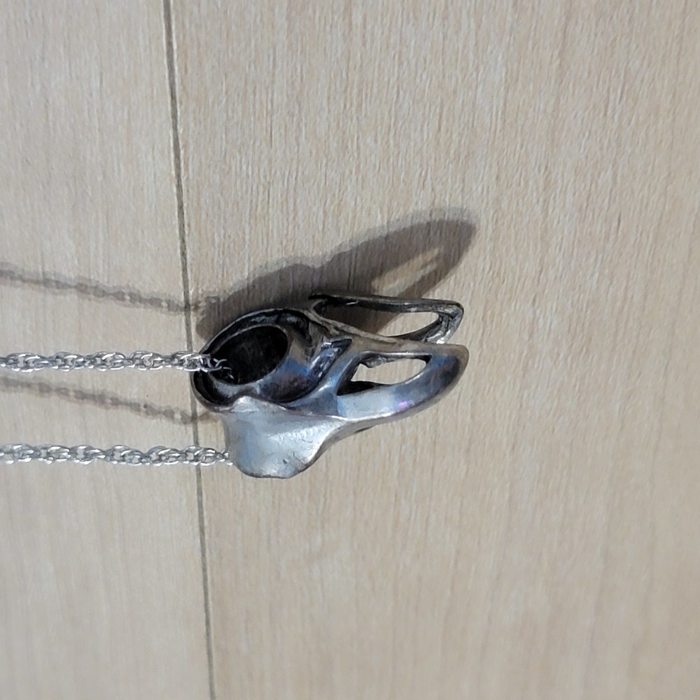 Necklace Charm | Bird Skull Silver